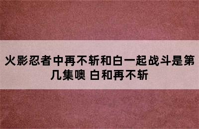 火影忍者中再不斩和白一起战斗是第几集噢 白和再不斩